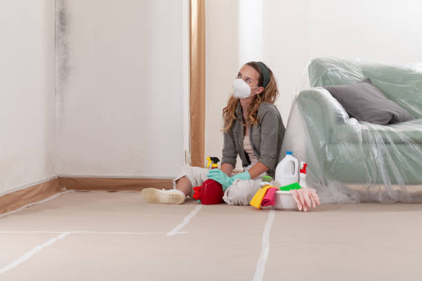 Reliable Mold Cleanup contractor in Du Bois, PA by WQB Mold Removal